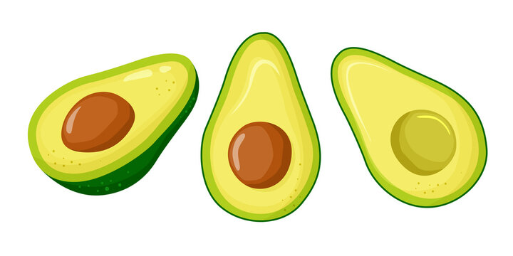 Set of cartoon slice of avocado with core isolated on the white. Tropical summer fruit flat style illustration. Set for label, logo, poster, print. Green avocado with seed. Vector illustration.