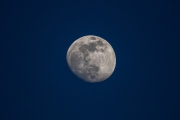A portrait of the moon in a dark blue sky. The moon is in between a full and a half moon and is centered in the frame.