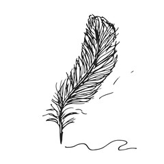 Vector hand drawn illustration of writing feather pen and ink