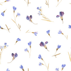 Watercolor floral seamless pattern of scattered branches with buds blue and purple colors in herbarium style. Dry flowers isolated on white background, hand painting image, print pastel colors.
