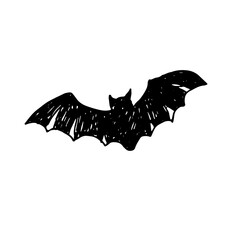 Vector hand drawn bat with wings. Bat icon. Sketch.