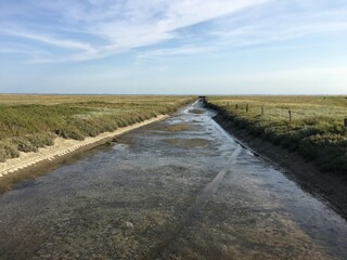 Fototapeta premium In diesem Priel auf der Wattseite der Insel Langeoog ist nur sehr wenig Wasser.