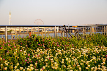 ロードバイクと花