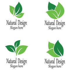 Leaf icon Vector Illustration design Logo template