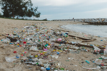 Garbage on the beach. Dirty sea sandy. Trash on beach. plastic bottle. Love the world. Pollution of beaches and sea