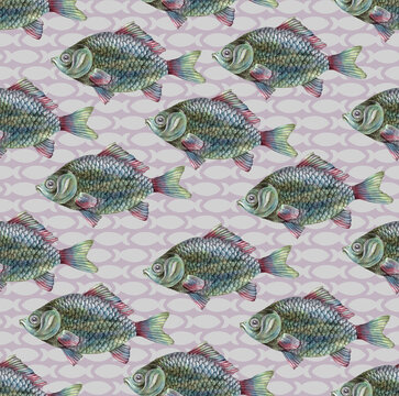 Pencil-drawn river fish carp and dorado in a stylish seamless pattern. Marine background with underwater animals. Fish with large scales and colored fins. Print for paper and textiles
