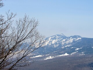 早春の雪山と芽吹きを待つ木々