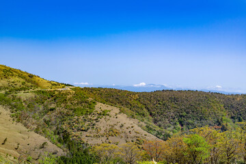 Obraz premium 静岡県西伊豆スカイライン 達磨山山頂から見た景色
