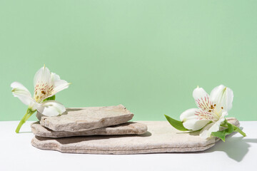 Background for cosmetic products of natural green color. Stone podium with white flowers. Front view.