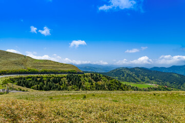 静岡県伊豆市仁科峠の風景