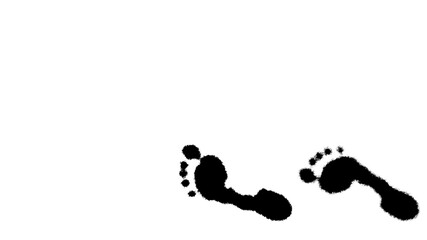 Two Footmark on white background