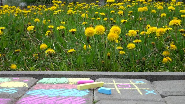Children's drawings with multicolored crayons on a tiled path against a background of green grass and yellow dandelions 
