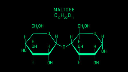 Maltose also known as maltobiose or malt sugar Molecular Structure Symbol on black background
