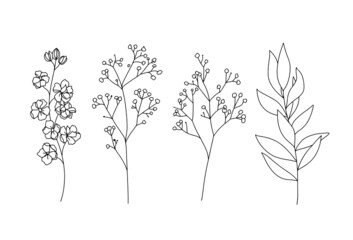 Fototapeta premium Flowers and leaves branches hand drawn sketch black and white line art illustration