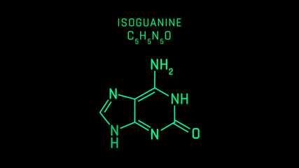 Fototapeta premium Isoguanine or 2-hydroxyadenine Molecular Structure Symbol Neon Animation on black background