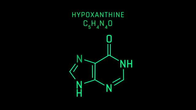 Hypoxanthine Molecular Structure Symbol Neon on black background
