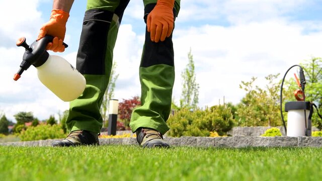 Grass Lawn Weed Removing