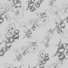 Gooseberry berries vector graphic illustration print textile patern seamless fruit jam juice summer harvest engraving style