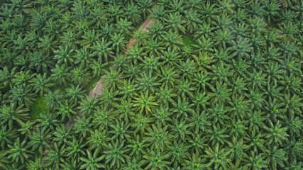 Obraz premium DCIM\100MEDIA\DJI_0020.JPG