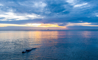 Alligator in Mobile Bay 
