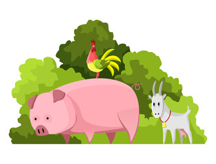 Agriculture industry.  illustration of national treasure pet animal. Illustration of domestic animals pig, goat cock