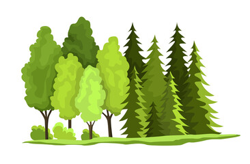 Green forest.  illustration of national treasure wooden. Illustration of renewable resource