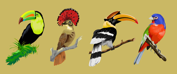 Set with bright tropical rare birds. Toucan, Hornbill, Crowned fly-eater, multicolor tropical bright bird. Collection corofull cute birds siting on the branch. Vector illustration.Isolated