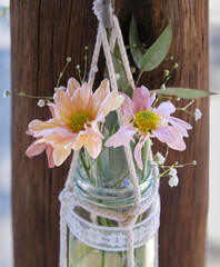pastel colored daisies and eucalyptus leaves