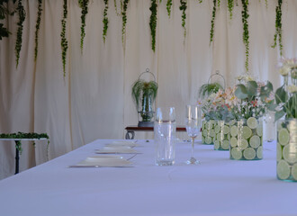 pastel colored daisies and eucalyptus leaves
