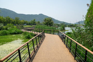 Fototapeta na wymiar Dongqian Lake Wetland Park, Ningbo, China