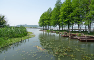 Fototapeta na wymiar Dongqian Lake Wetland Park, Ningbo, China