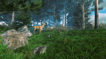 Scenic woodland landscape with single roe deer grazing among green grass on the edge of magical dense forest at sunny summer day. With no people realistic 3D illustration from my own 3D rendering. © Marsea