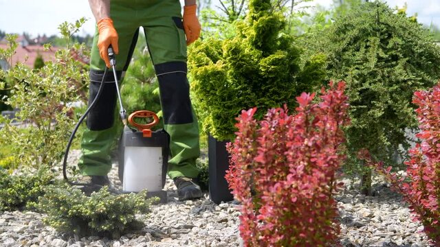 Pro Insecticide Operation