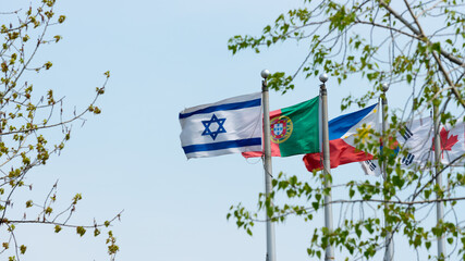 flags of the world, featuring Israeli, Portuguese, Philippine,  South Korean and Canadian flags blowing in the wind behind some tree branches on a blue sky 