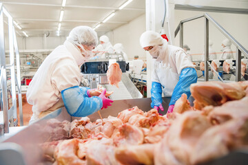 People working at a chicken factory, stock photo.Production line with packaging and cutting of...