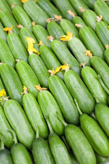 Cucumber background