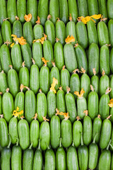 Cucumber background