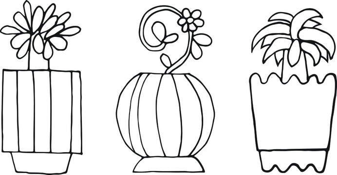 Plantas, flores e vasos. Conjunto Trio. Desenho vectorial