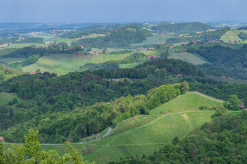 Obraz premium Hügellandschaft in der Südweststeiermark