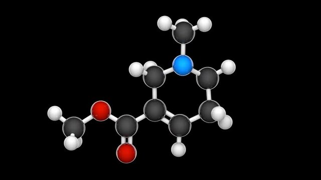 Arecoline (C8H13NO2) is a nicotinic acid-based mild stimulant alkaloid found in the areca nut. Chemical structure model: Ball and Stick. 3D render. Seamless loop. RGB + Alpha (Transparent) channel