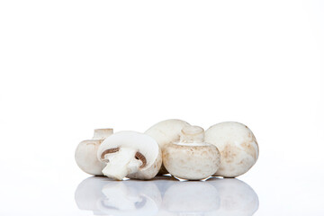 Mushroom on white