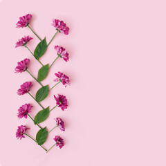 Pink background with fresh flower decoration and copy space.