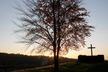 Fototapeta na wymiar Tree and cross at Le Bec Hellouin, Eure, France.