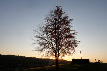 Tree and cross at dusk at Le Bec Hellouin, Eure, France.