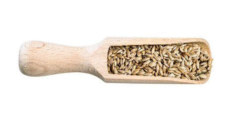 scagliola canary seeds in wood scoop cutout