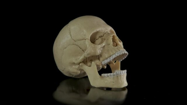 A skull with open mouth. A view of a human spooky skull with an open mouth on the black background.