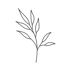 Hand drawn line drawing of a leaf. Vector illustration