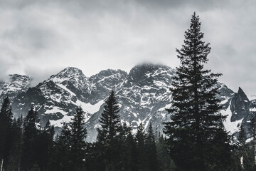 incredibly beautiful snow-capped majestic mountains, incredible wildlife