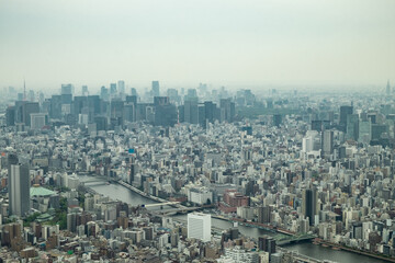 Fototapeta premium View of Tokyo in a haze from bird eye on a cloudy day.