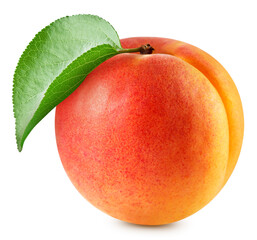 Apricot with apricot leaves isolated